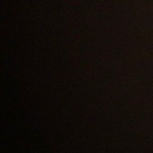 Meet your Posher, Kenzie